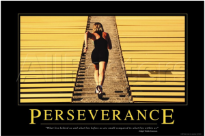 perseverance