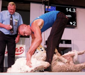 Rowland_Smith_Shearing_27062017